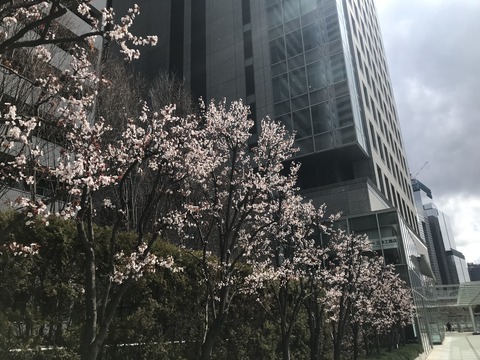 6C26837F-7F4F-4C32-AD91-90C0F8EF27C9