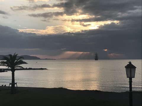 0219CB81-EEEA-499A-838D-CDA6521E1D8D