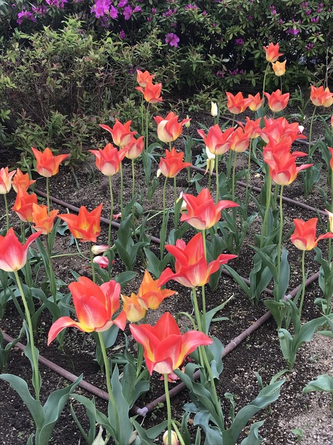 AED65955-B367-4058-B657-8DBEC3F0DD81