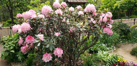 7FDC32D4-E258-4482-9A68-14D1C3F00EB0