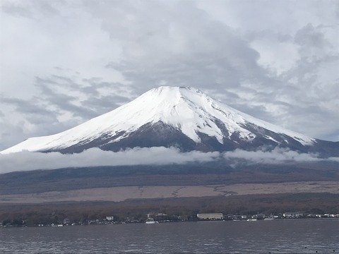 85698DF2-56FF-44AC-BE85-4BBD542C99D8