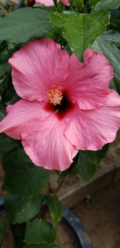 B624D529-41F3-4D3C-B84B-B401DBA2F34C