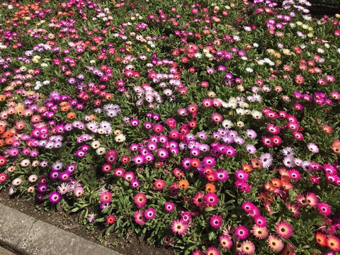 D10B9E1F-F233-48D6-B7B3-1F16586FD7FF