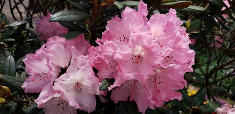 8CCEC46B-8737-4BFE-8902-865CB4D545DE