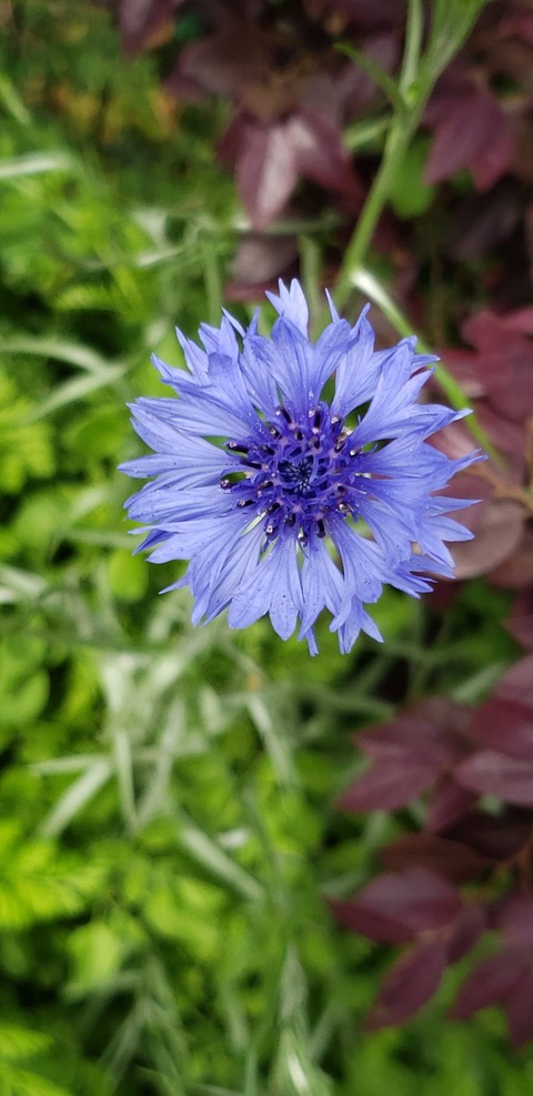 89DA49C1-C351-4156-9570-F9E11C640B98