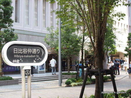 P8040005