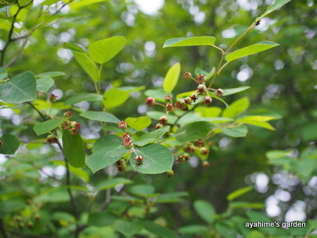 P6230376
