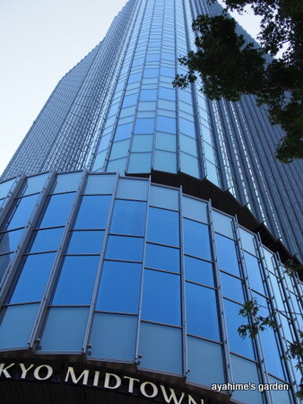P8040026
