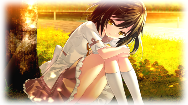 SnapCrab_ナツウソ -_8-40-36_No-00