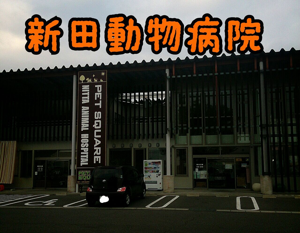 ドッグラン 新田動物病院 気まぐれちゃっきー