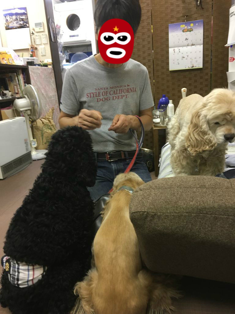 もなかを連れて練馬のマリちゃんワールドへ ボクもなかぁ もなかを連れて練馬のマリちゃんワールドへ ボクもなかぁ