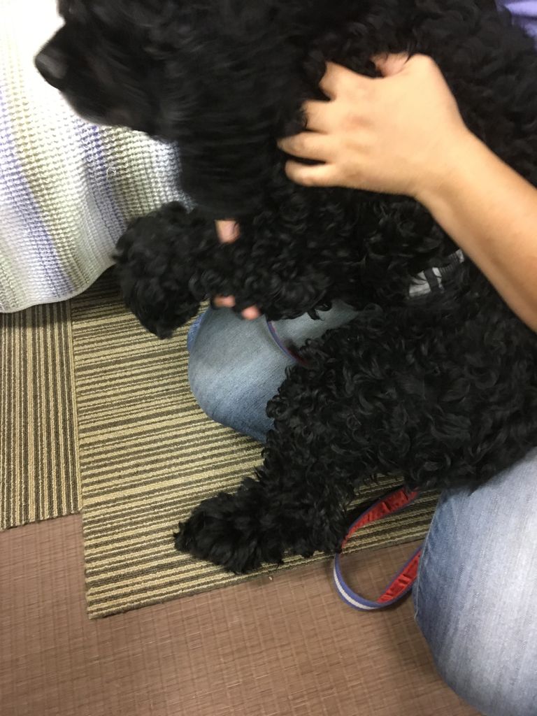 もなかを連れて練馬のマリちゃんワールドへ ボクもなかぁ もなかを連れて練馬のマリちゃんワールドへ ボクもなかぁ