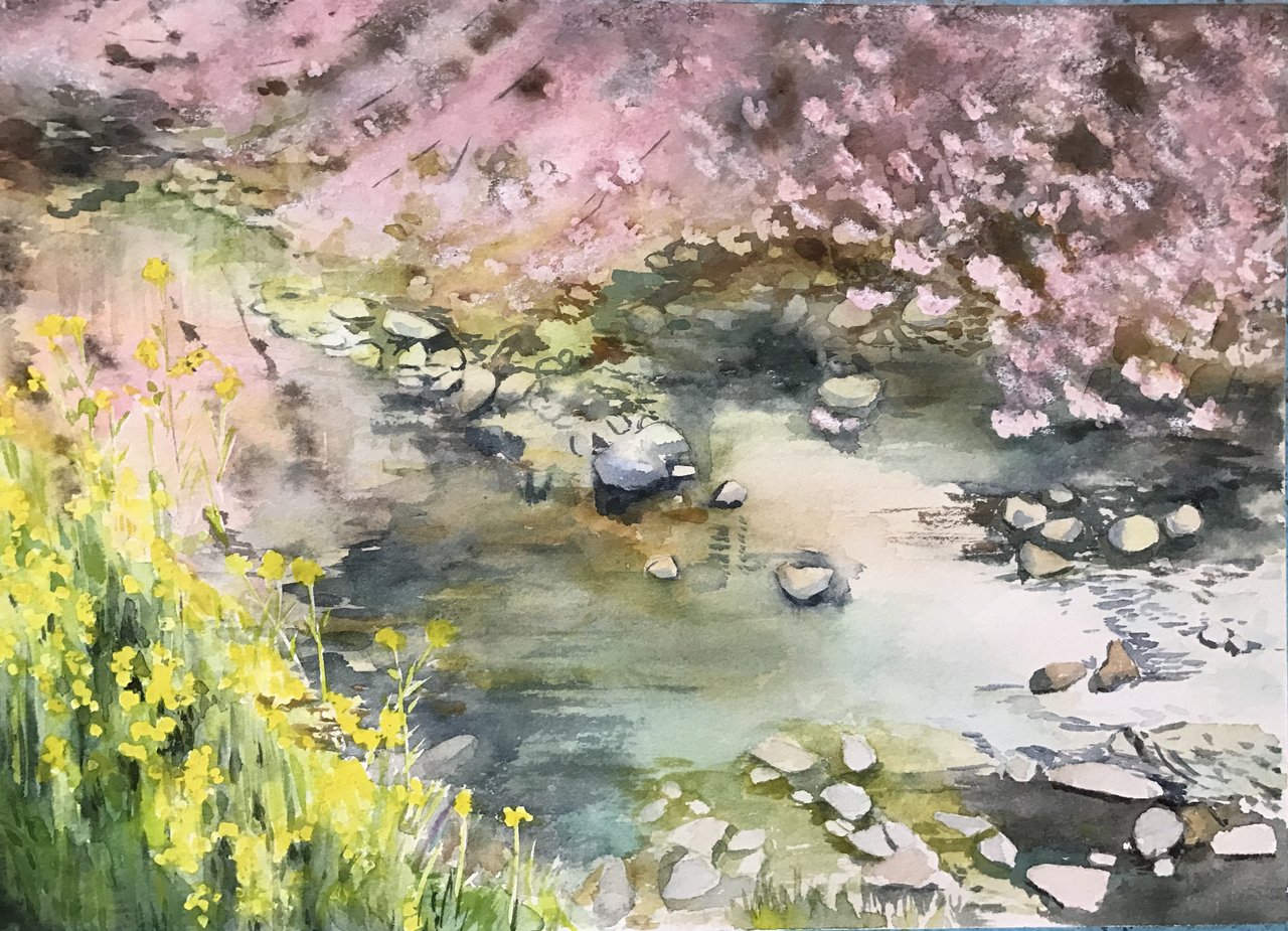 水彩画 桜咲く川辺 ゆず色の風