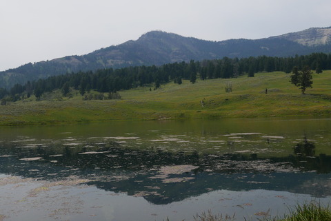 P1060378
