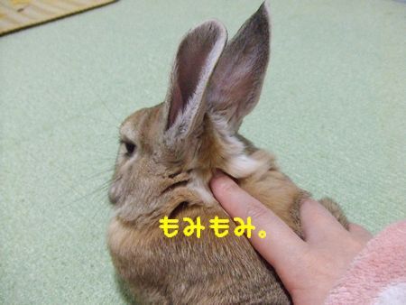 眠くなるツボ ユズ日和 眠くなるツボ ユズ日和