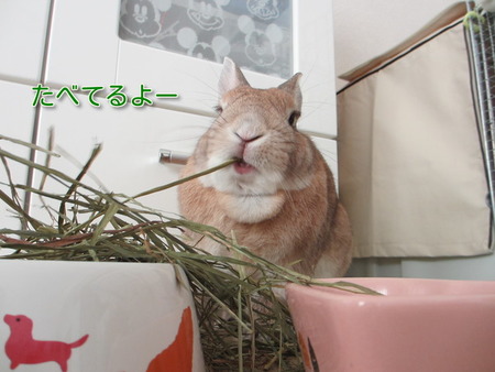 ¥æ¥º£´