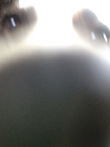 20180825-4