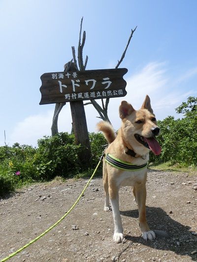 taiyo-150614-1