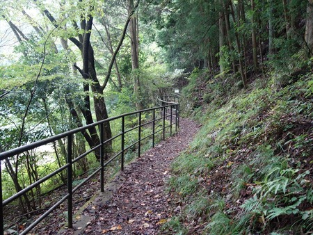 19遊歩道