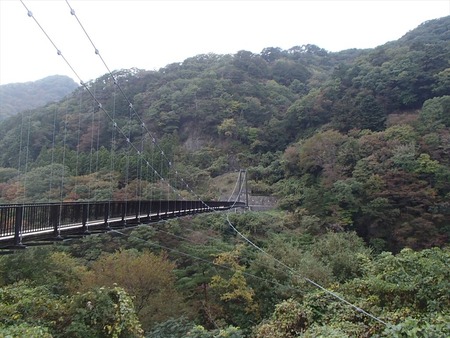 72楯岩大吊橋