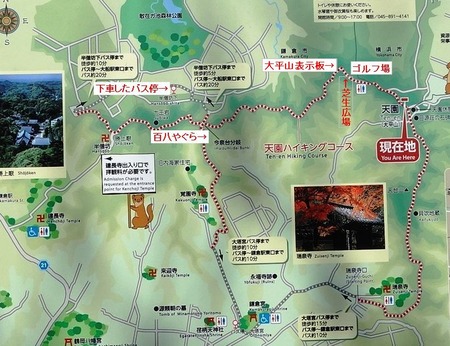 31天園地図