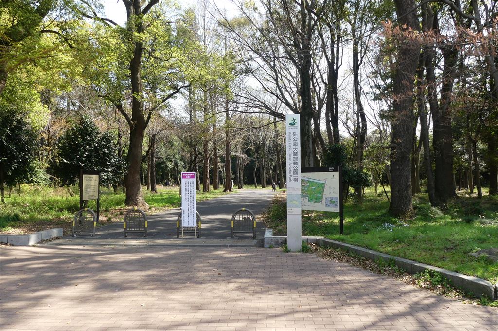 世田谷区の砧公園で今年2回目のお花見 ディスカスの逍遥日誌