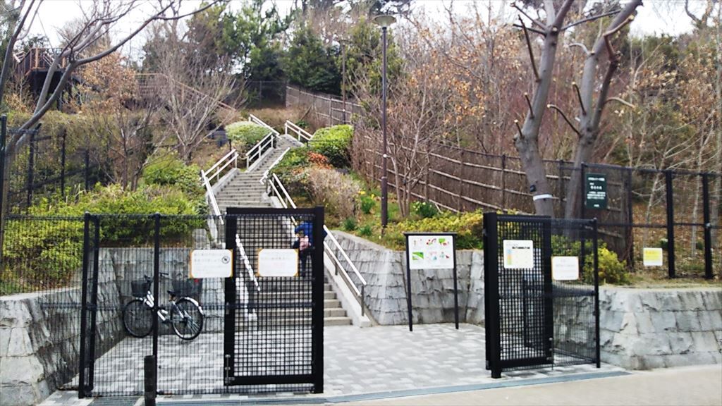 佐伯山緑地から龍子記念館へ ディスカスの逍遥日誌