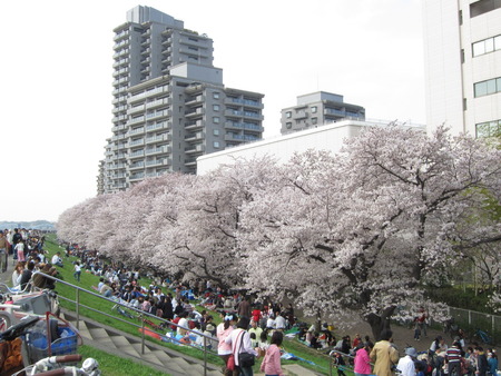 21多摩川
