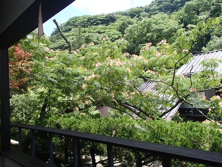10緑濃い