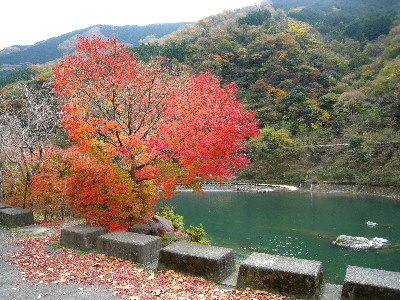 07丹沢湖畔の紅葉(ss)
