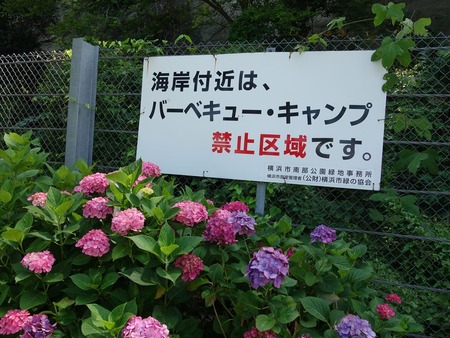 39キャンプ禁止の札が