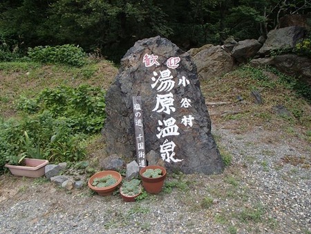 56