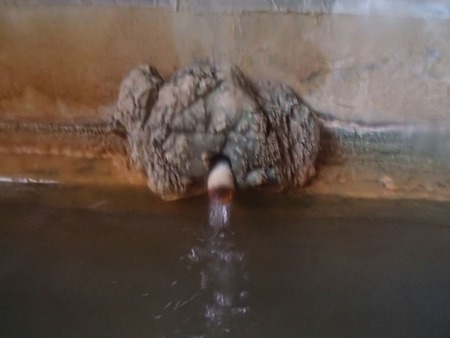53