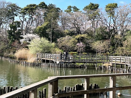 07水生植物園