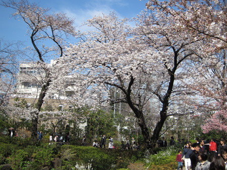 13毛利庭園