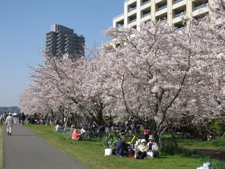 22-多摩川