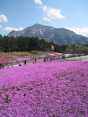 02羊山(ss)