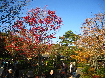 16日本庭園内
