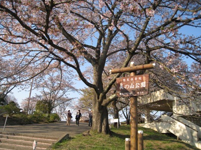 13美の山(ss)