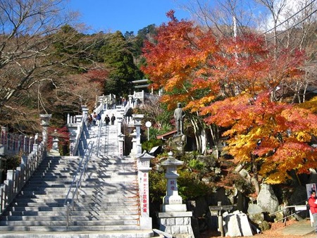 17阿夫利神社最後の階段