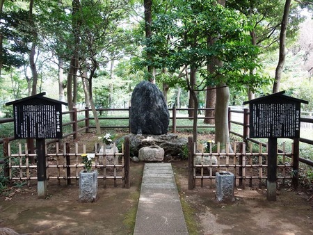 09徳富蘆花の墓