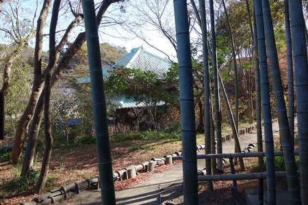 33竹林から仏殿