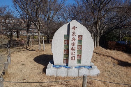 05今泉名水桜公園