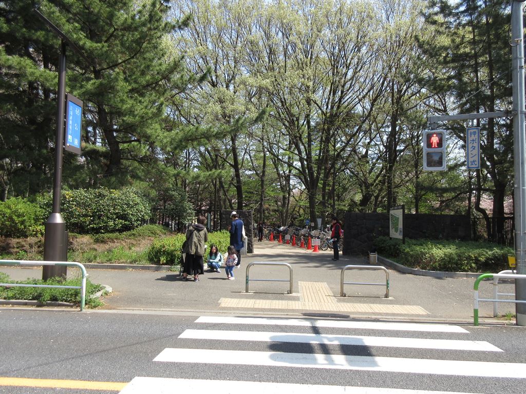 世田谷の 砧公園 でお花見 ディスカスの逍遥日誌 世田谷の 砧公園 でお花見 ディスカスの逍遥日誌