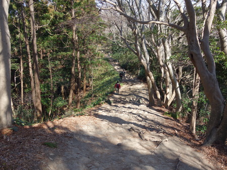28こんなハイキングコース