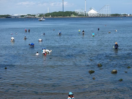 41待ちきれず潮干狩り