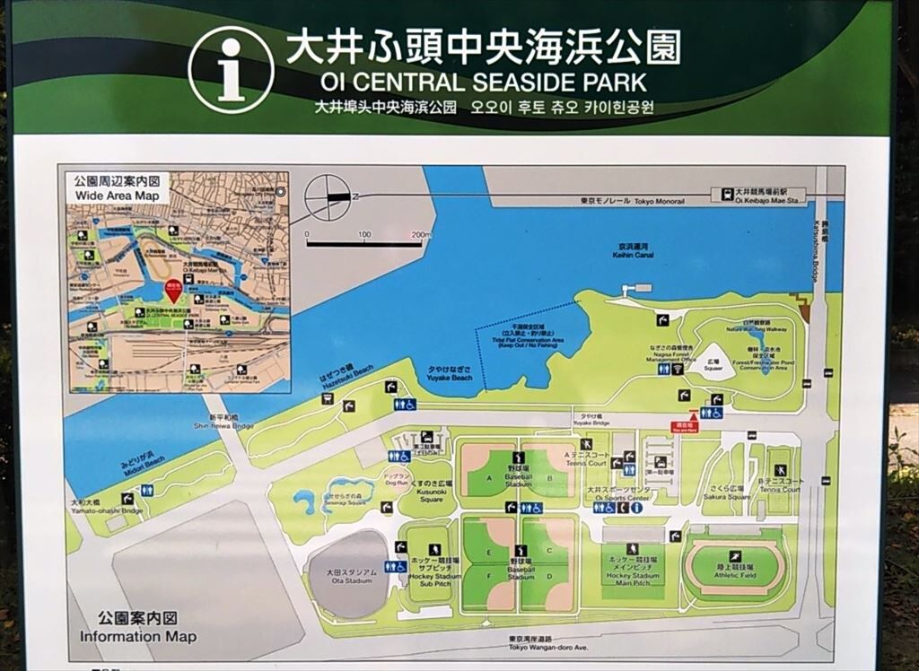 飯島望未 頭條獨家 自認入廚冇天份蔣祖曼拍節目搵老公幫拖 Amp Petmd Com