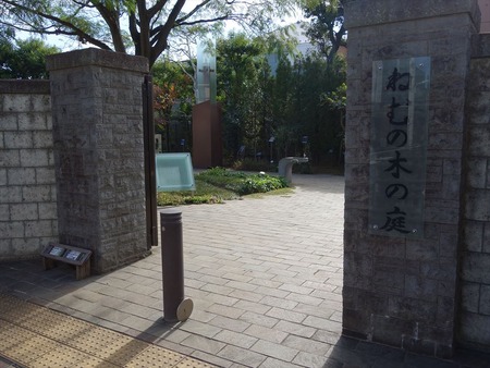 16ねむの木の庭