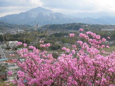 26岩つつじと武甲山
