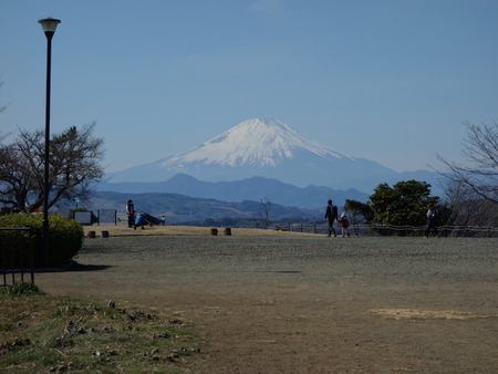 25富士山